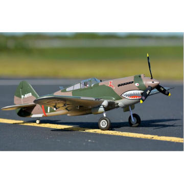 World′s Largest 12 CH P40 Warhawk RC Plane for Sale